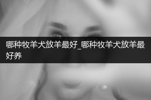 哪種牧羊犬放羊最好_哪種牧羊犬放羊最好養(yǎng)