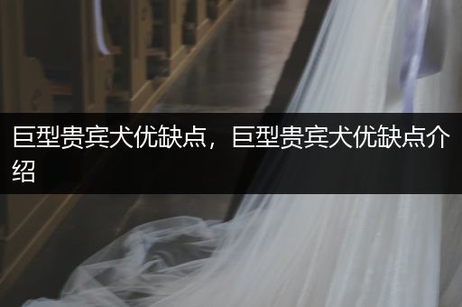 巨型貴賓犬優(yōu)缺點，巨型貴賓犬優(yōu)缺點介紹