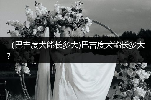 （巴吉度犬能長(zhǎng)多大)巴吉度犬能長(zhǎng)多大?