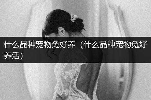 什么品種寵物兔好養(yǎng)（什么品種寵物兔好養(yǎng)活）