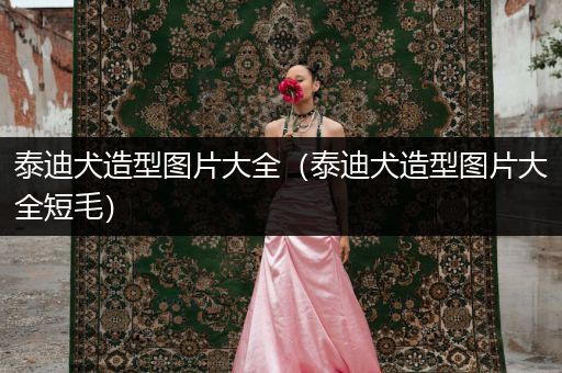 泰迪犬造型圖片大全（泰迪犬造型圖片大全短毛）