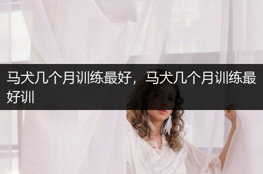 馬犬幾個(gè)月訓(xùn)練最好，馬犬幾個(gè)月訓(xùn)練最好訓(xùn)