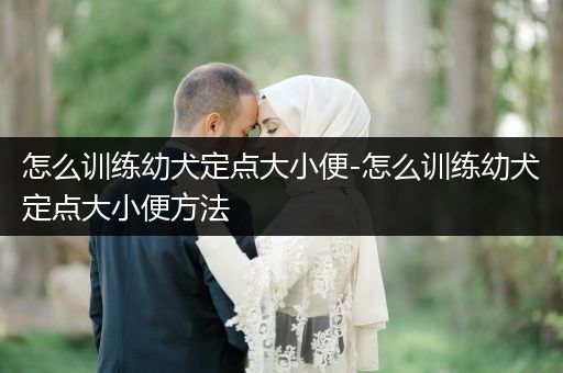 怎么訓(xùn)練幼犬定點(diǎn)大小便-怎么訓(xùn)練幼犬定點(diǎn)大小便方法