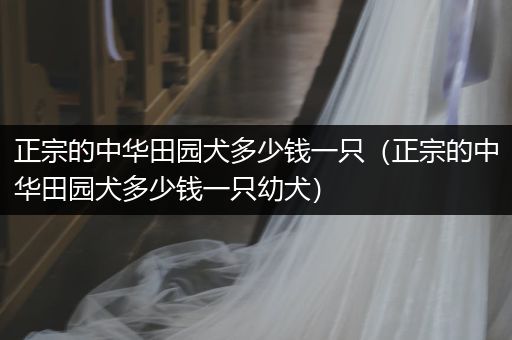 正宗的中華田園犬多少錢一只（正宗的中華田園犬多少錢一只幼犬）