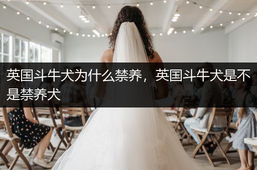 英國(guó)斗牛犬為什么禁養(yǎng)，英國(guó)斗牛犬是不是禁養(yǎng)犬