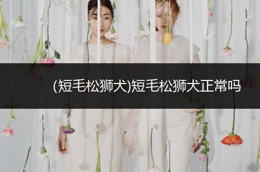 （短毛松獅犬)短毛松獅犬正常嗎