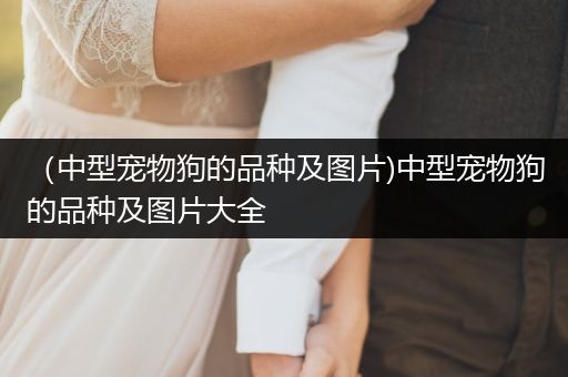 （中型寵物狗的品種及圖片)中型寵物狗的品種及圖片大全