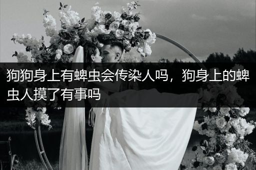 狗狗身上有蜱蟲(chóng)會(huì)傳染人嗎，狗身上的蜱蟲(chóng)人摸了有事嗎
