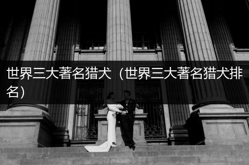 世界三大著名獵犬（世界三大著名獵犬排名）