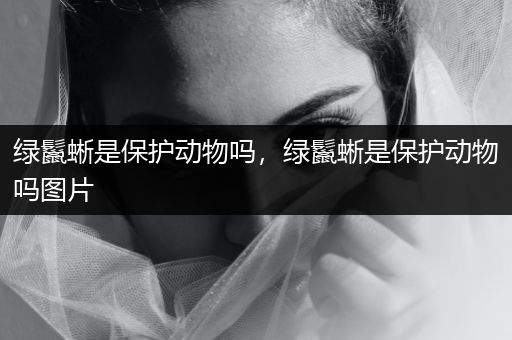 綠鬣蜥是保護(hù)動(dòng)物嗎，綠鬣蜥是保護(hù)動(dòng)物嗎圖片