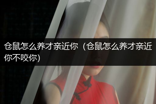 倉鼠怎么養(yǎng)才親近你（倉鼠怎么養(yǎng)才親近你不咬你）