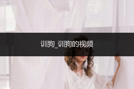 訓(xùn)狗_訓(xùn)狗的視頻