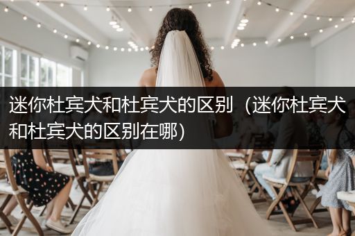 迷你杜賓犬和杜賓犬的區(qū)別（迷你杜賓犬和杜賓犬的區(qū)別在哪）