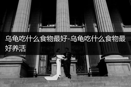 烏龜吃什么食物最好-烏龜吃什么食物最好養(yǎng)活
