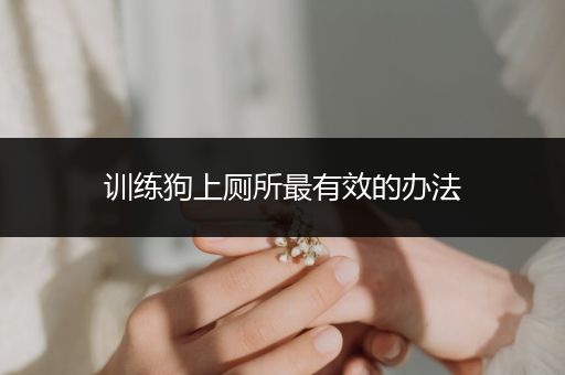 訓(xùn)練狗上廁所最有效的辦法