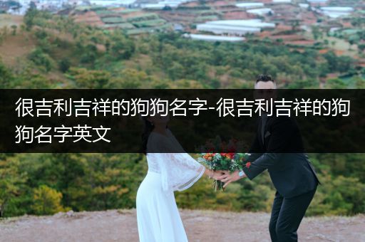 很吉利吉祥的狗狗名字-很吉利吉祥的狗狗名字英文