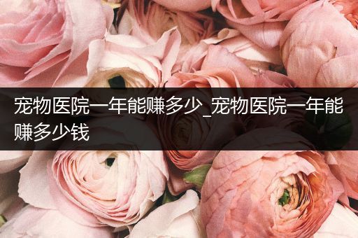 寵物醫(yī)院一年能賺多少_寵物醫(yī)院一年能賺多少錢