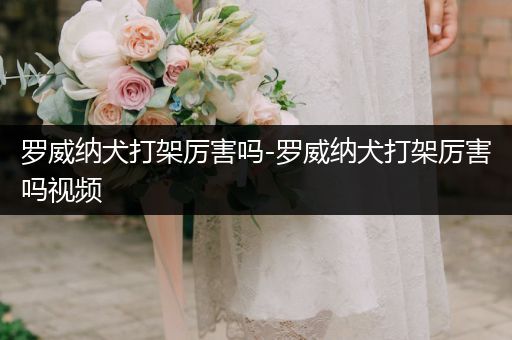 羅威納犬打架厲害嗎-羅威納犬打架厲害嗎視頻