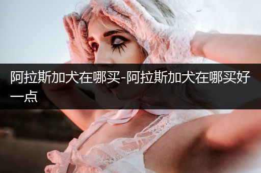 阿拉斯加犬在哪買-阿拉斯加犬在哪買好一點(diǎn)