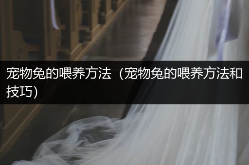 寵物兔的喂養(yǎng)方法（寵物兔的喂養(yǎng)方法和技巧）