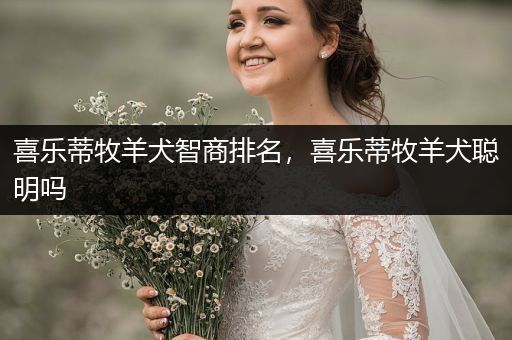 喜樂蒂牧羊犬智商排名，喜樂蒂牧羊犬聰明嗎