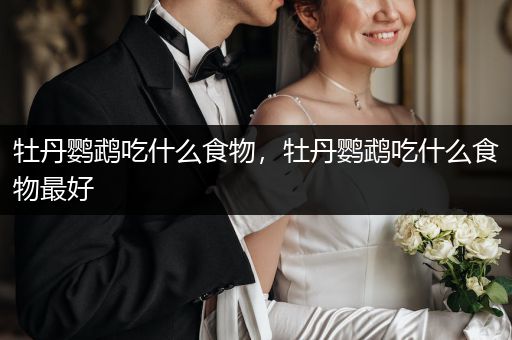 牡丹鸚鵡吃什么食物，牡丹鸚鵡吃什么食物最好