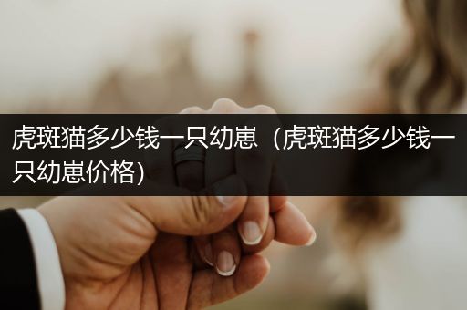 虎斑貓多少錢一只幼崽（虎斑貓多少錢一只幼崽價格）