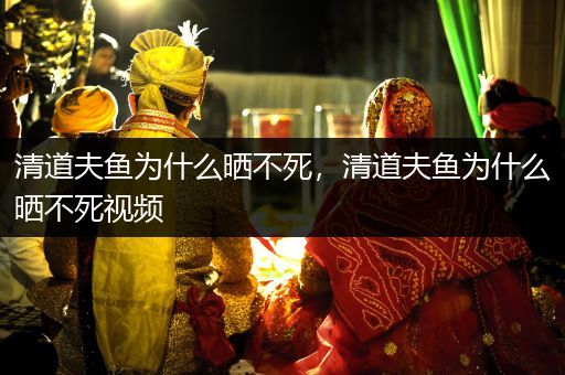 清道夫魚為什么曬不死，清道夫魚為什么曬不死視頻