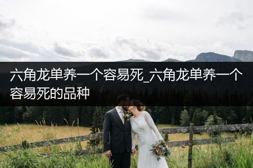 六角龍單養(yǎng)一個容易死_六角龍單養(yǎng)一個容易死的品種