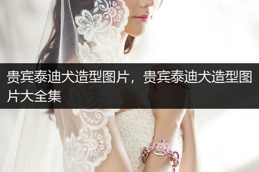 貴賓泰迪犬造型圖片，貴賓泰迪犬造型圖片大全集