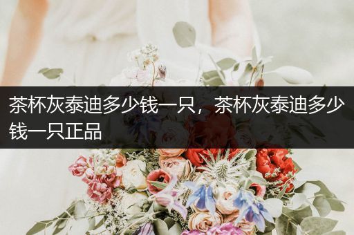 茶杯灰泰迪多少錢一只，茶杯灰泰迪多少錢一只正品