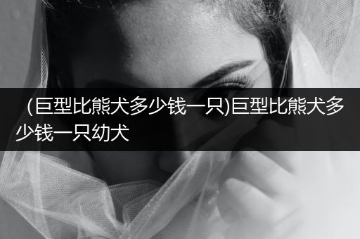 (巨型比熊犬多少錢一只)巨型比熊犬多少錢一只幼犬