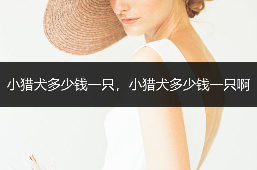 小獵犬多少錢一只，小獵犬多少錢一只啊