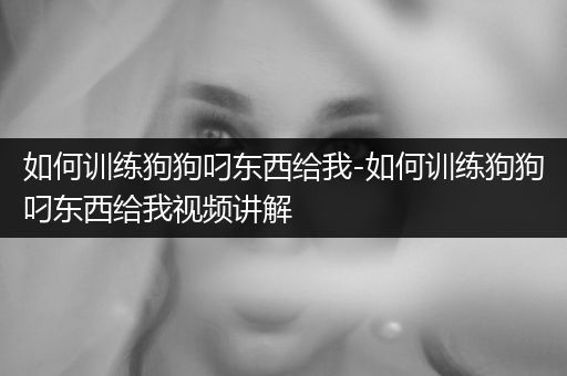 如何訓(xùn)練狗狗叼東西給我-如何訓(xùn)練狗狗叼東西給我視頻講解