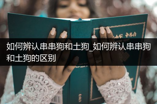 如何辨認串串狗和土狗_如何辨認串串狗和土狗的區(qū)別