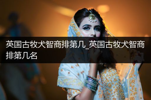 英國(guó)古牧犬智商排第幾_英國(guó)古牧犬智商排第幾名