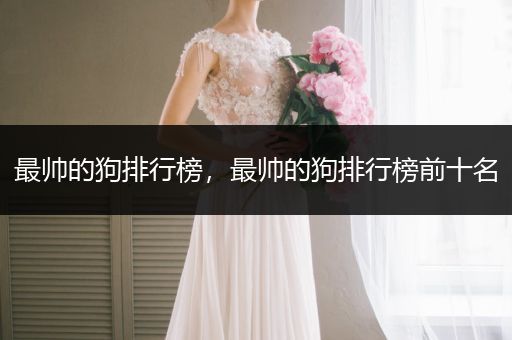 最帥的狗排行榜，最帥的狗排行榜前十名