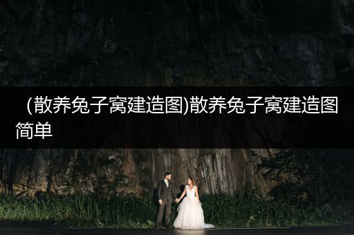 （散養(yǎng)兔子窩建造圖)散養(yǎng)兔子窩建造圖簡(jiǎn)單