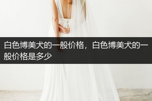 白色博美犬的一般價(jià)格,白色博美犬的一般價(jià)格是多少