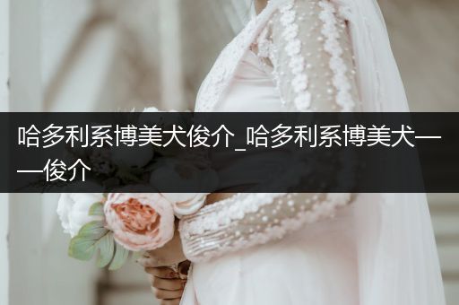 哈多利系博美犬俊介_哈多利系博美犬——俊介