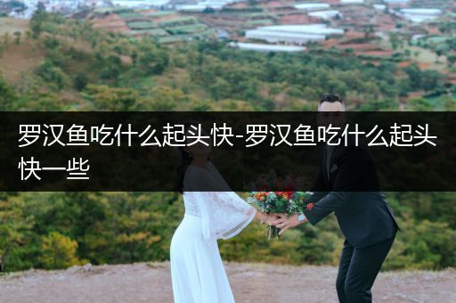 羅漢魚吃什么起頭快-羅漢魚吃什么起頭快一些