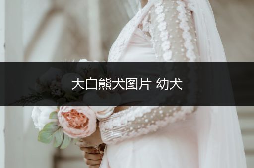 大白熊犬圖片 幼犬