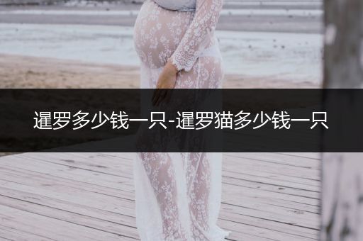 暹羅多少錢一只-暹羅貓多少錢一只