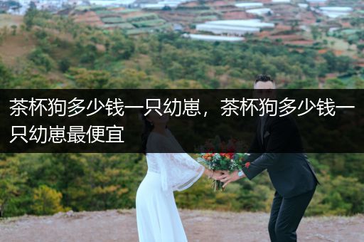 茶杯狗多少錢(qián)一只幼崽，茶杯狗多少錢(qián)一只幼崽最便宜