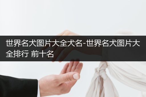 世界名犬圖片大全犬名-世界名犬圖片大全排行 前十名