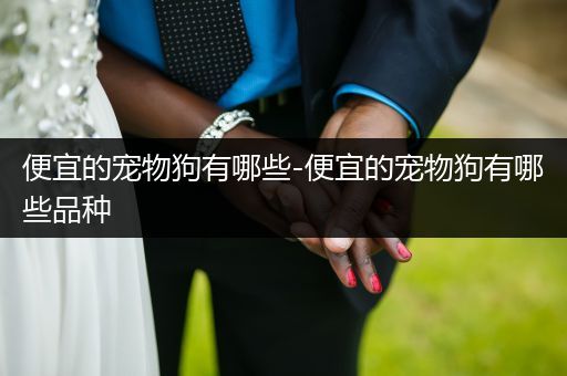 便宜的寵物狗有哪些-便宜的寵物狗有哪些品種