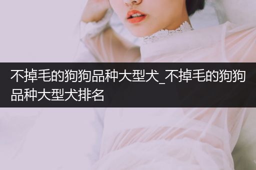 不掉毛的狗狗品種大型犬_不掉毛的狗狗品種大型犬排名