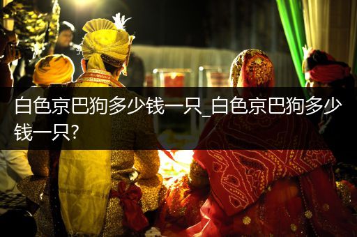 白色京巴狗多少錢一只_白色京巴狗多少錢一只?