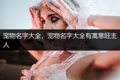 寵物名字大全，寵物名字大全有寓意旺主人