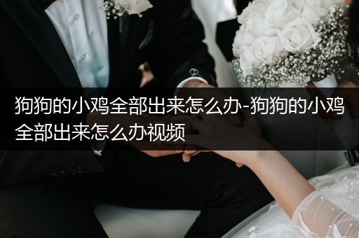 狗狗的小雞全部出來怎么辦-狗狗的小雞全部出來怎么辦視頻